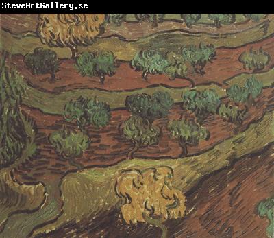 Vincent Van Gogh Olive Trees against a Slope of a Hill (nn04)